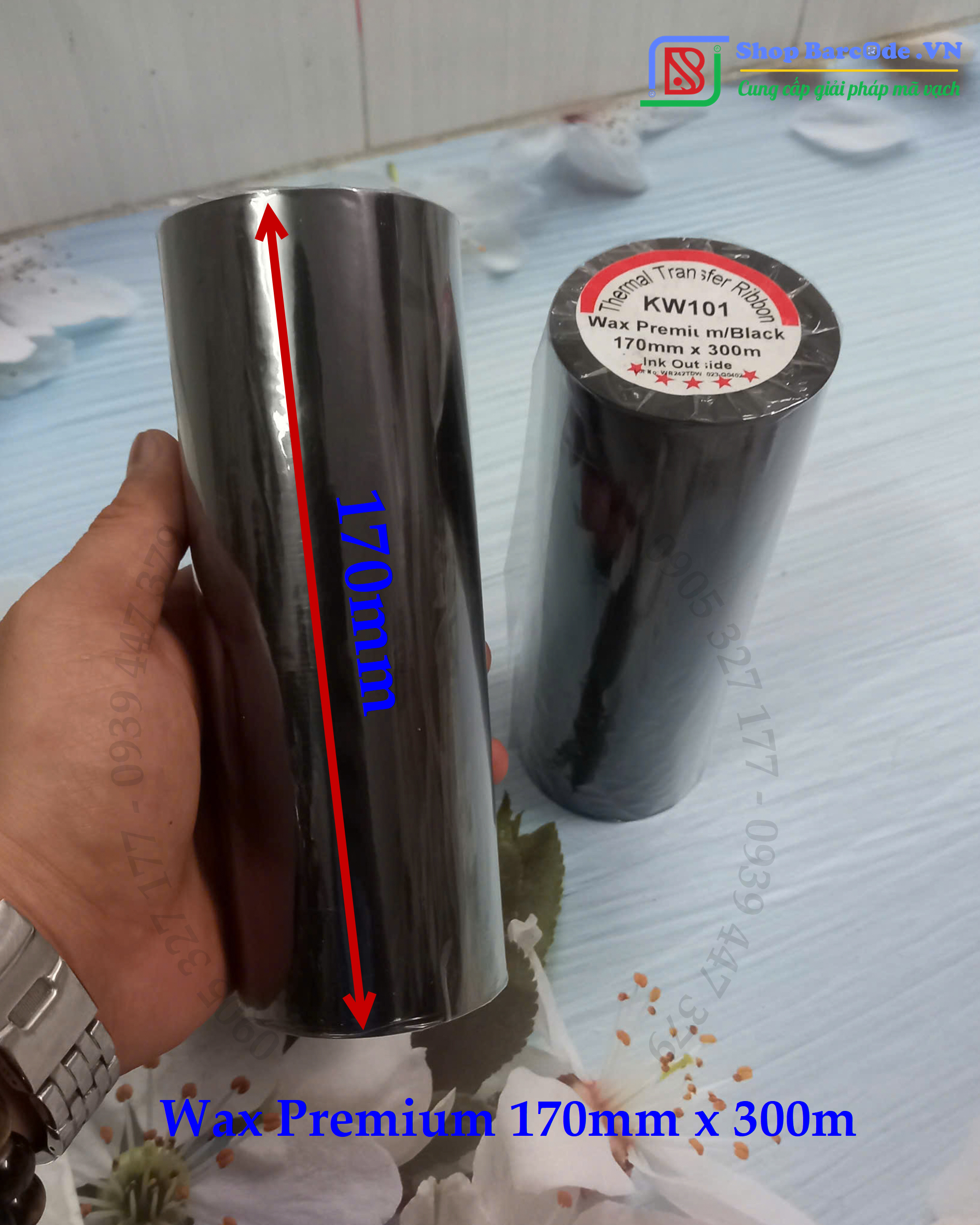 wax 170x300